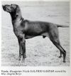 Thumbnail of Galfrid Gaspar