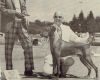 Thumbnail of Sandor's Miklo's Ishi Debretsin