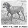 Thumbnail of Rotkopf's Amber Sparkler