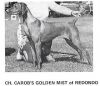 Thumbnail of Carob's Golden Mist Of Redondo