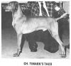 Thumbnail of Timarka's Taco