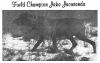 Thumbnail of Jake Jacaranda