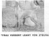 Thumbnail of Frau Verseny Leany Von Zybura