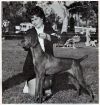 Thumbnail of Wayne's Dainty Lady
