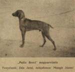 Thumbnail of Palóc Berci