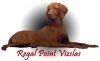 Thumbnail of Poquito's Regalpoint Rubi Tiara