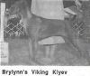 Thumbnail of Brylynn's Viking Kiyev