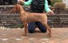 Thumbnail of Rhapsody N' Karajen Ooh La La