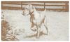Thumbnail of Semper Fi Gust O Wind