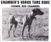 Thumbnail of Chambers Voros Tars Duke