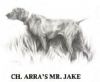 Thumbnail of Arra's Mr Jake