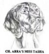 Thumbnail of Arra's Miss Tasha
