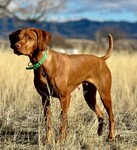 Thumbnail of Fusion's Mind Your Own