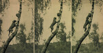 Thumbnail of Makk I (OVC 230)