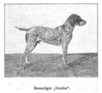 Thumbnail of Gessler (DK)