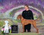 Thumbnail of Upcountry's Art Of Deception