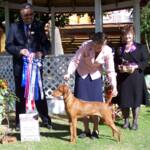 Thumbnail of Szikra's Comfort Food