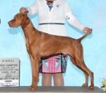 Thumbnail of Solaris J&J's Most Times You Can't Hear 'Em Talk