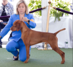 Thumbnail of Ferngolds Empire of the Northern Dance