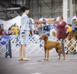 Thumbnail of Berkcor's All That And A Bag Of Chips