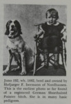 Thumbnail of Juno (DHStB 2318) (DK)