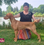 Thumbnail of Ferngolds Dancing in the Light Of Zia