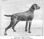Thumbnail of Nidung (DK)