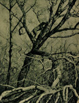 Thumbnail of Makk I (OVC 230)
