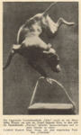 Thumbnail of Fickó (MV 800)