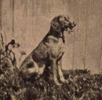 Thumbnail of Katiczá (Kati)