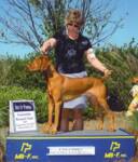 Thumbnail of Dobrocat's Cg Sean