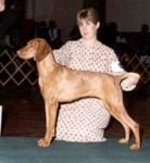 Thumbnail of Solaris Firedancer