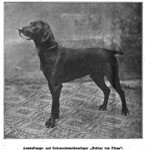 Thumbnail of Hector von Pirna (DK)