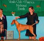 Thumbnail of Szizlin Winning Colors