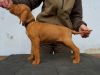 Thumbnail of Darwin Danitty